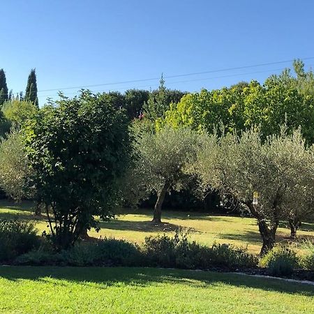 Mas De La Lone Villa Saint-Rémy-de-Provence Екстериор снимка