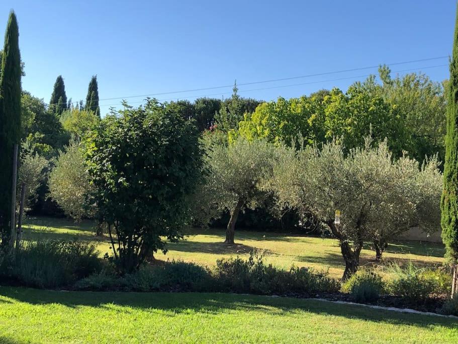 Mas De La Lone Villa Saint-Rémy-de-Provence Екстериор снимка