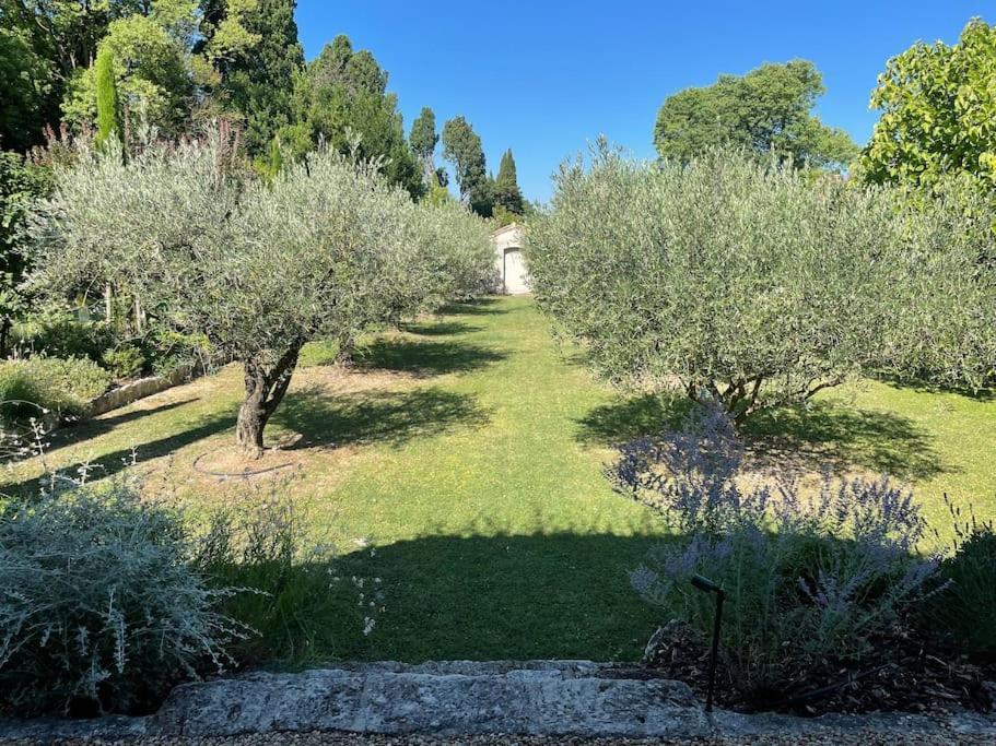 Mas De La Lone Villa Saint-Rémy-de-Provence Екстериор снимка